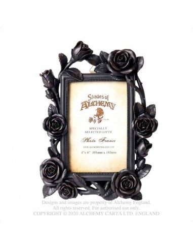 Rose Vine Photo Frame