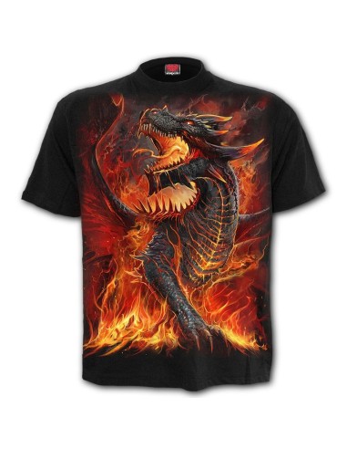 DRACONIS - T-Shirt Black