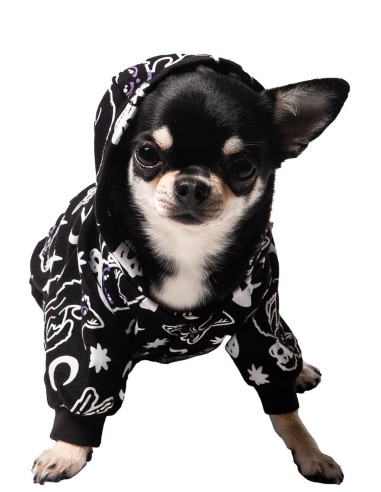 Purr Off Pet Hoodie