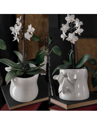 Ossuary Planter [WHITE]